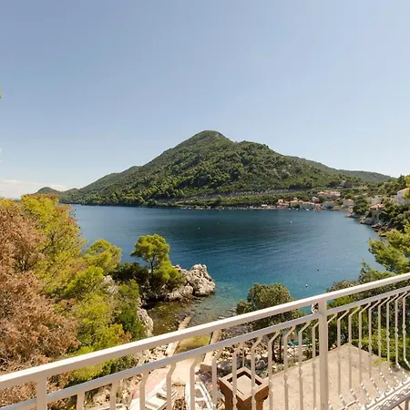 Apartament And Nike