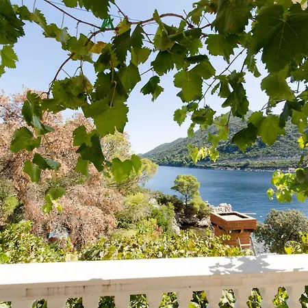 アパート And Nike *