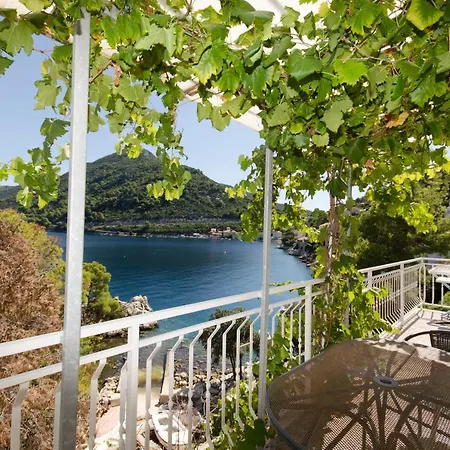 And Nike アパート