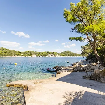 And Nike アパート *